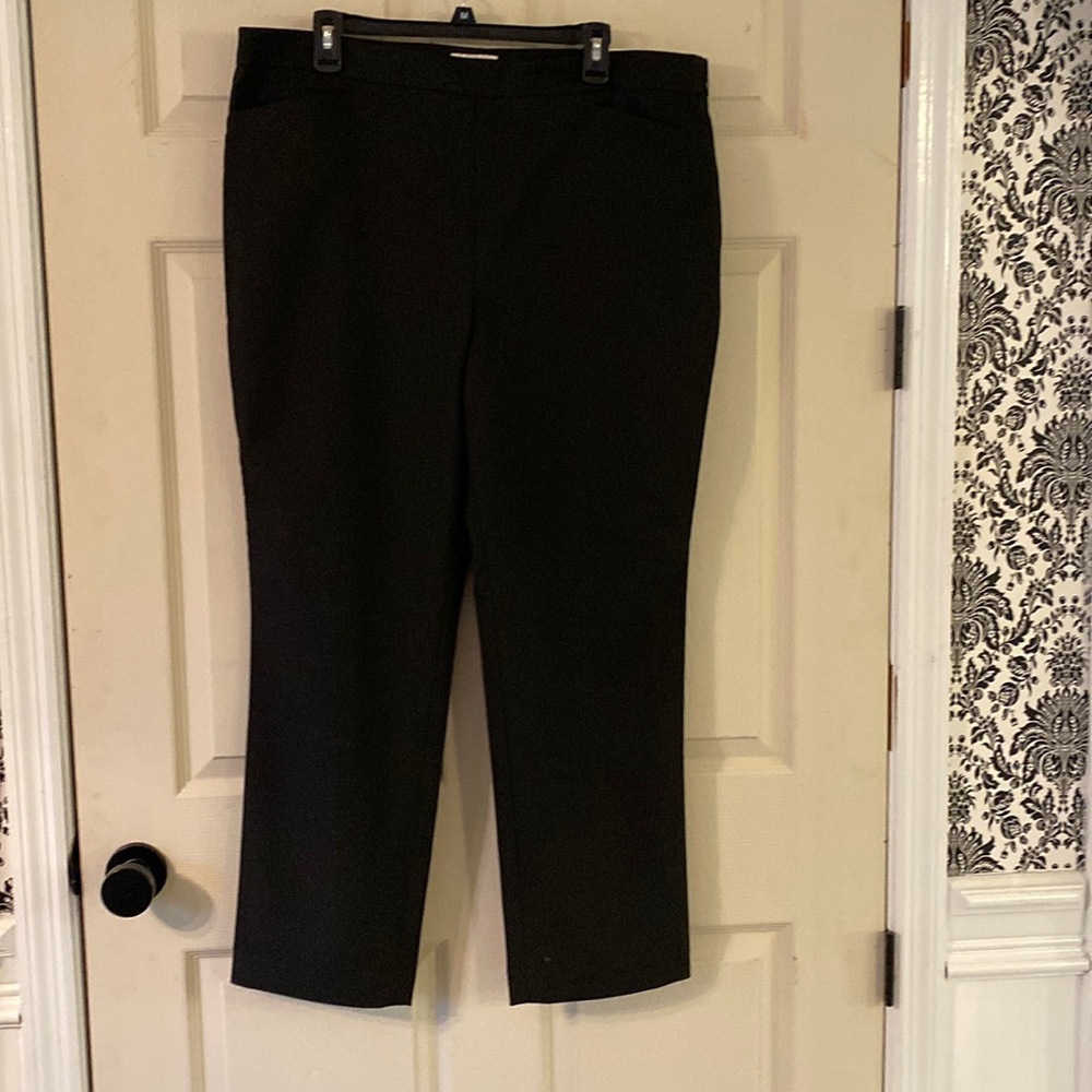 Black, ankle length, side zip pants. New with tags. 27” inseam.